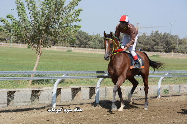 هفته سوم تابستان تهران