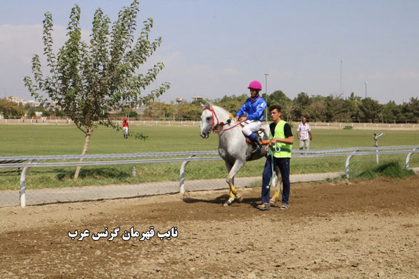 هفته پنجم تابستان تهران