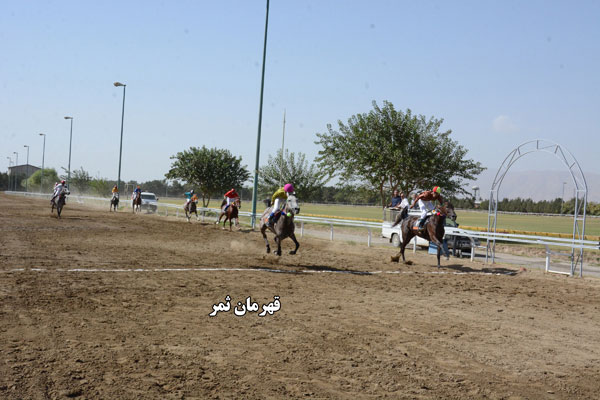 هفته هشتم بهاره گنبدکاووس